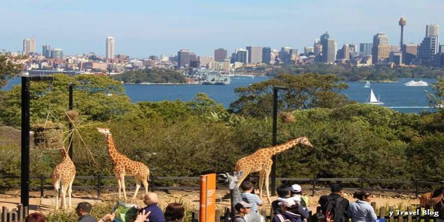 Group Tour Image