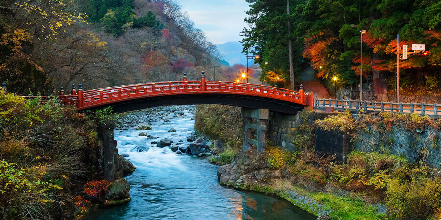 Group Tour Image